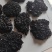 野生菌