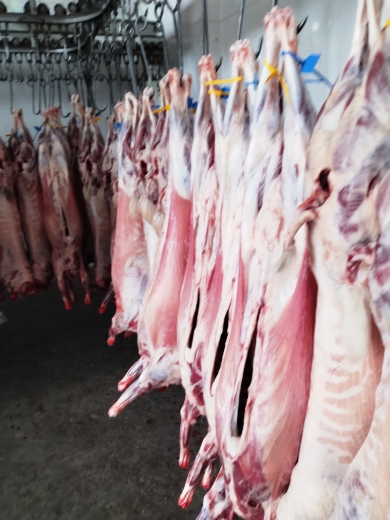 羊肉羯羊肉