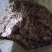 黄精野生新鲜黄精不除须