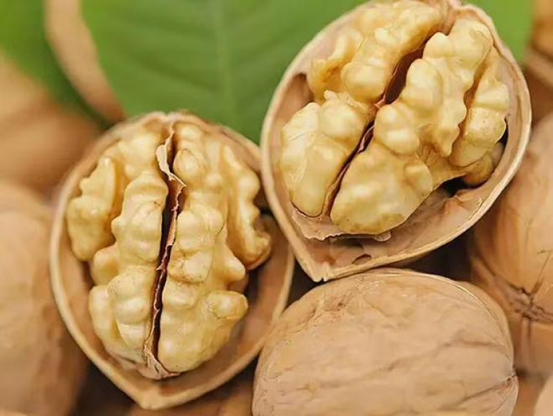 核桃干核桃/185纸皮核桃