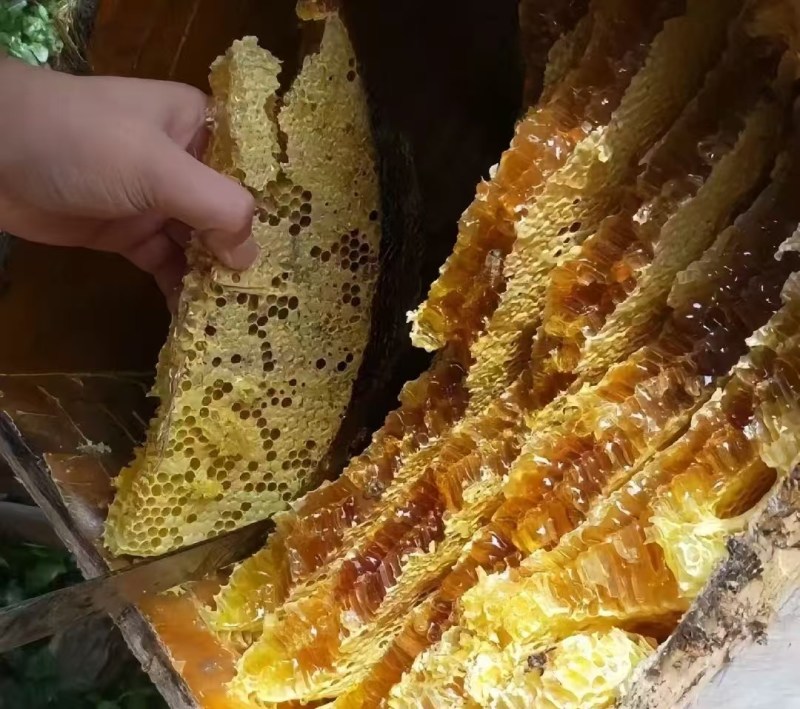 蜂蜜