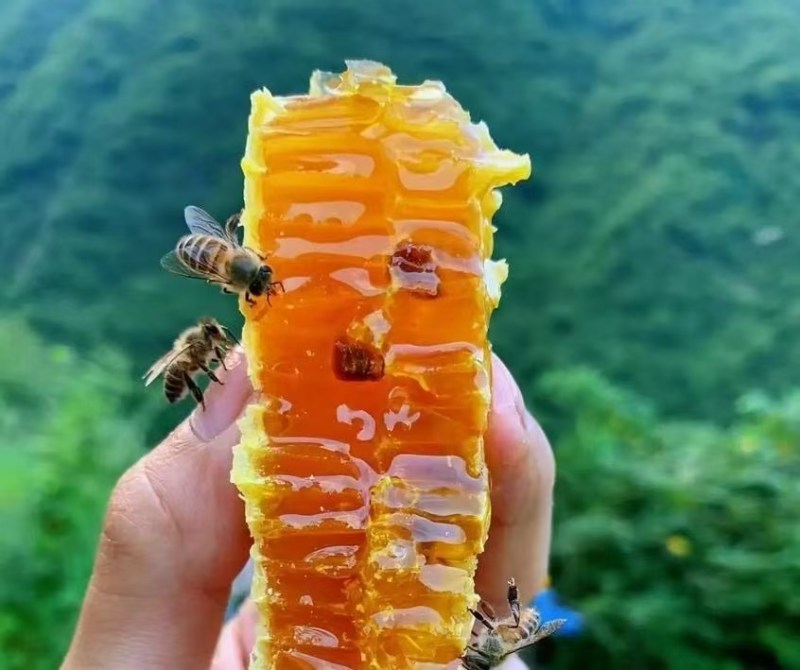 蜂蜜
