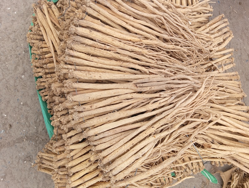 党参白条党参，长条，有土色跟水洗两种，无硫，线串