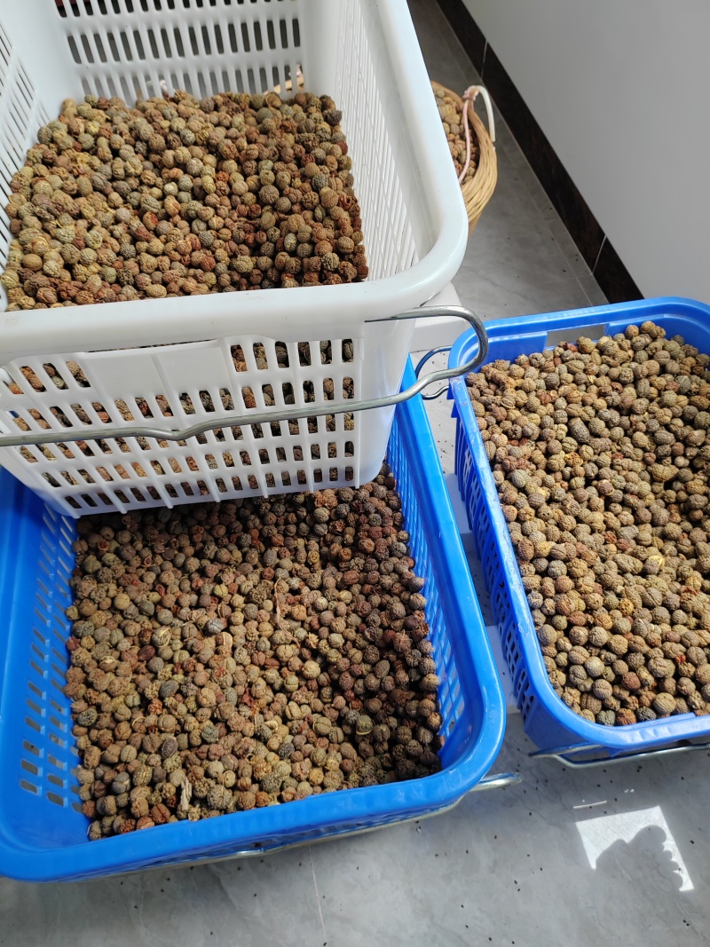 豆蔻
