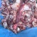 牛碎肉