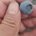 蓝莓中果，果径约1.6cm