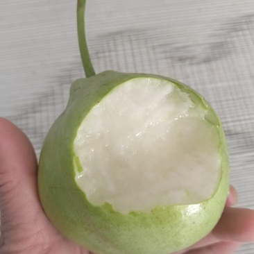 梨