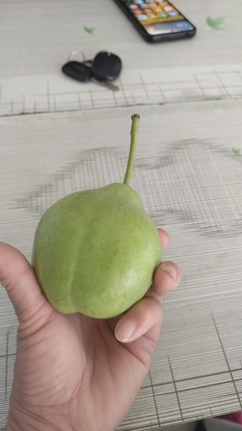 梨