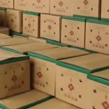 皇冠梨
