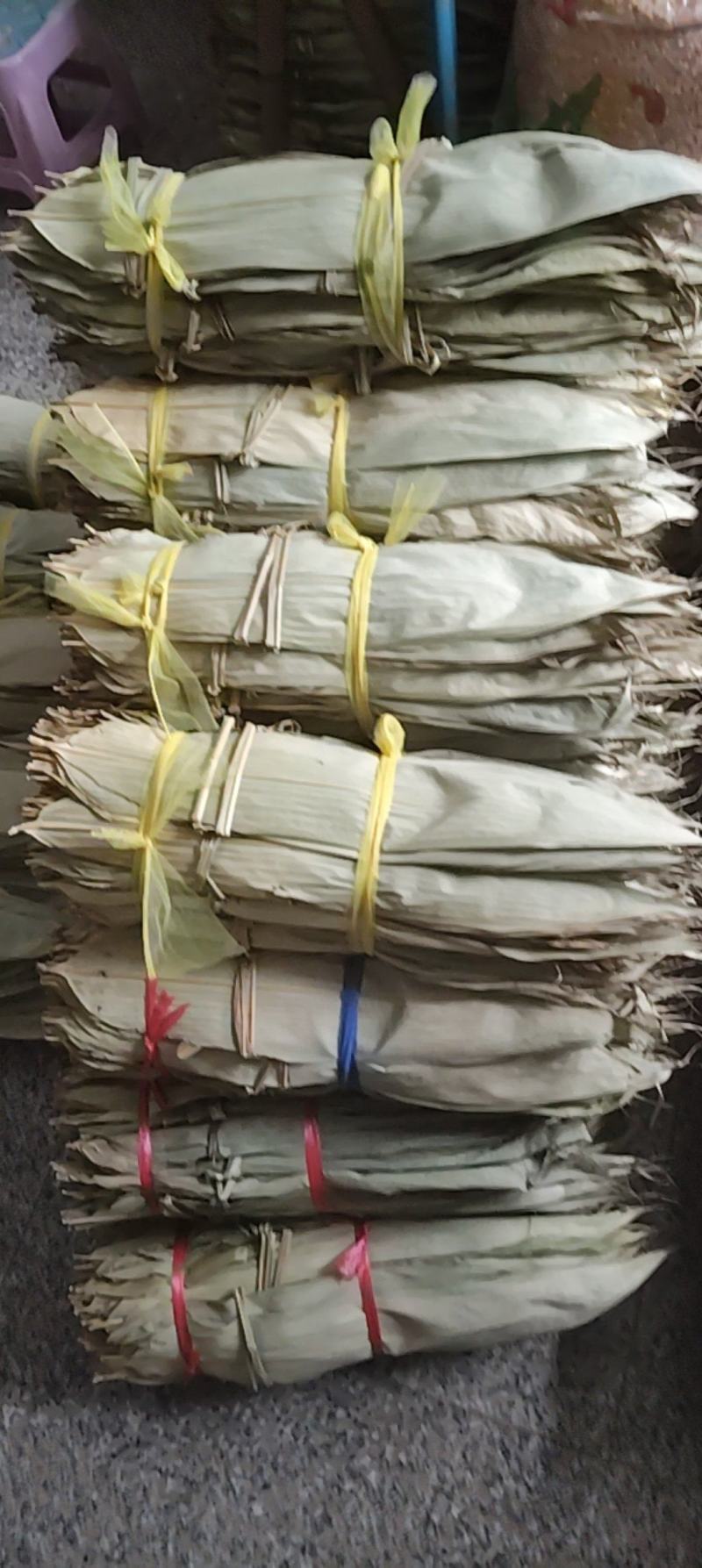粽叶高山野生,长度45-50厘米,宽度7-11厘米