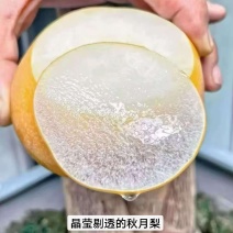 圆黄梨！丰水梨！产地大量上市，口感脆甜多汁的