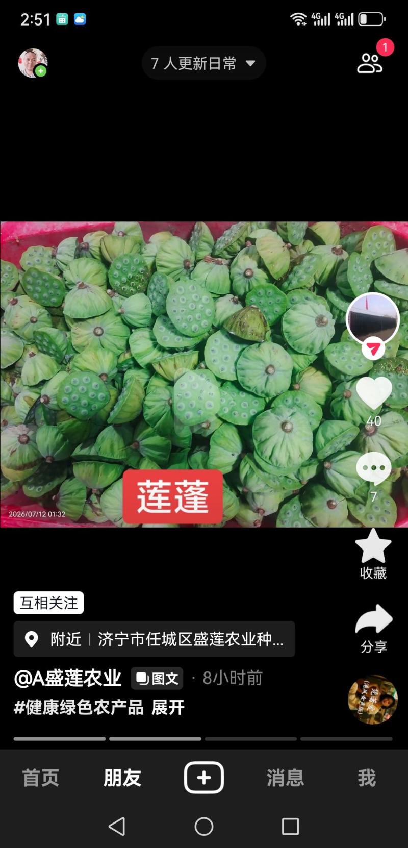 莲蓬普货