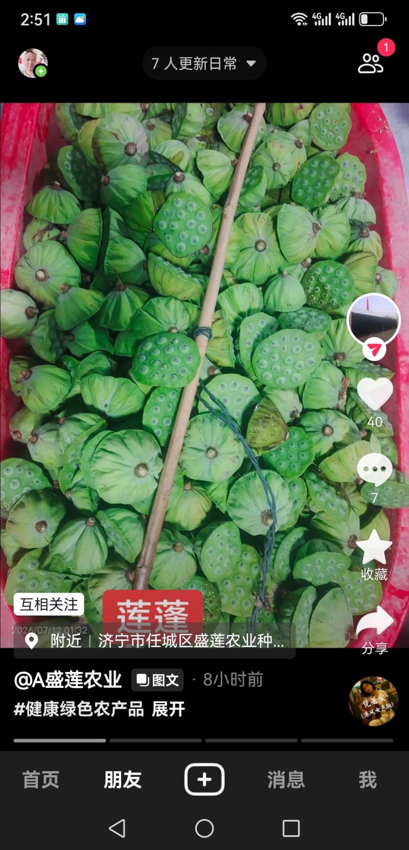 莲蓬普货