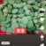 莲蓬普货
