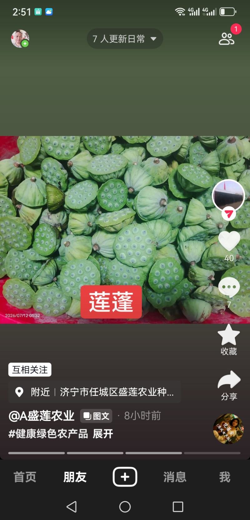 莲蓬普货