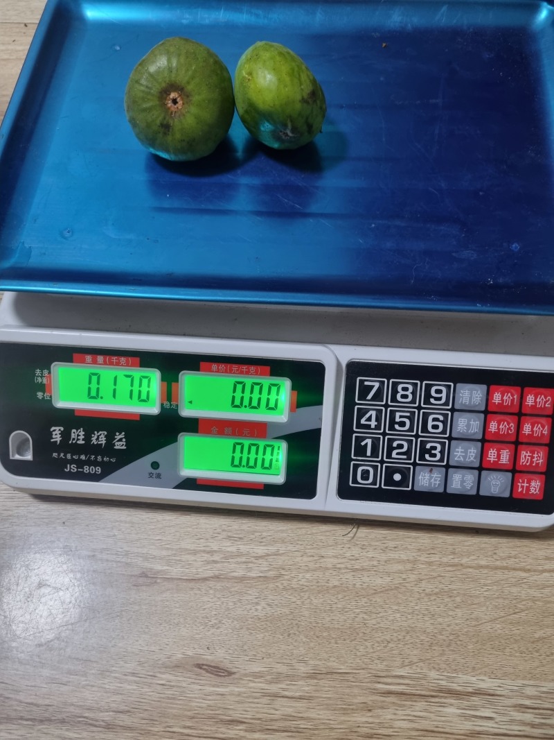 无花果通货65-100克，15元/斤；大果（100克左右