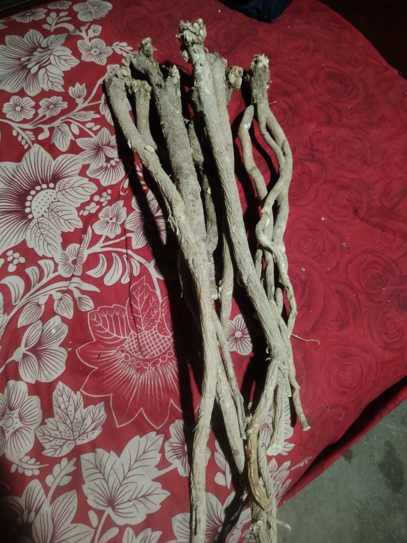 黄芪纯野生整条新货特大条一件包邮欢迎下单咨询