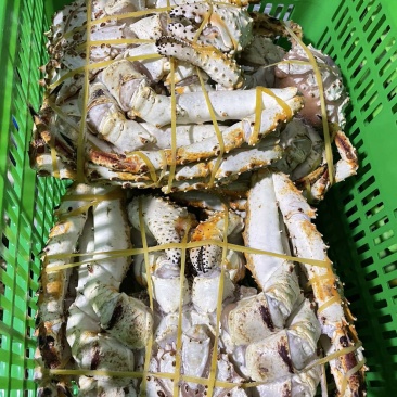 帝王蟹冻货