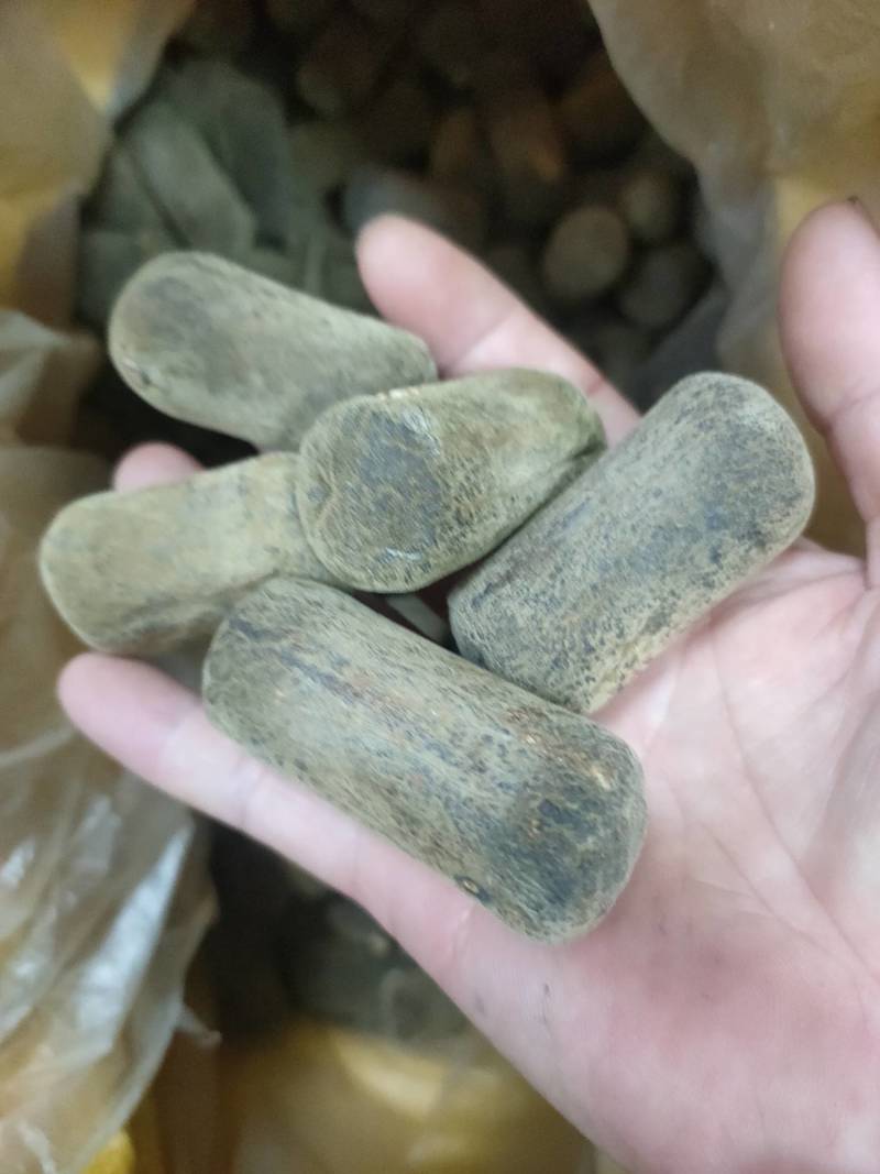 橘红正毛圆果切片