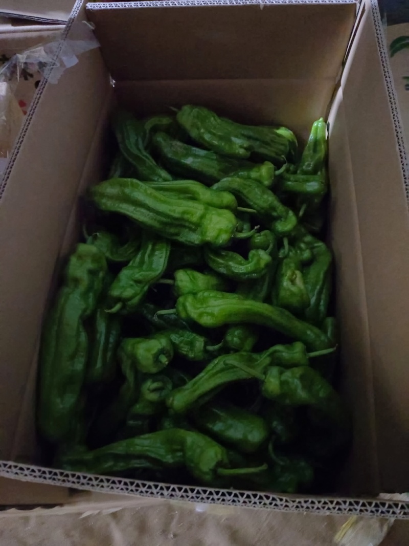 螺丝椒