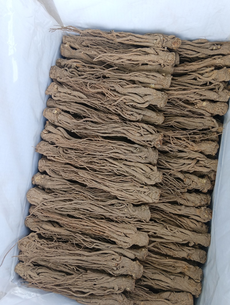 当归当归头统片过1.0筛/选片/全当归统片过0.3筛/当