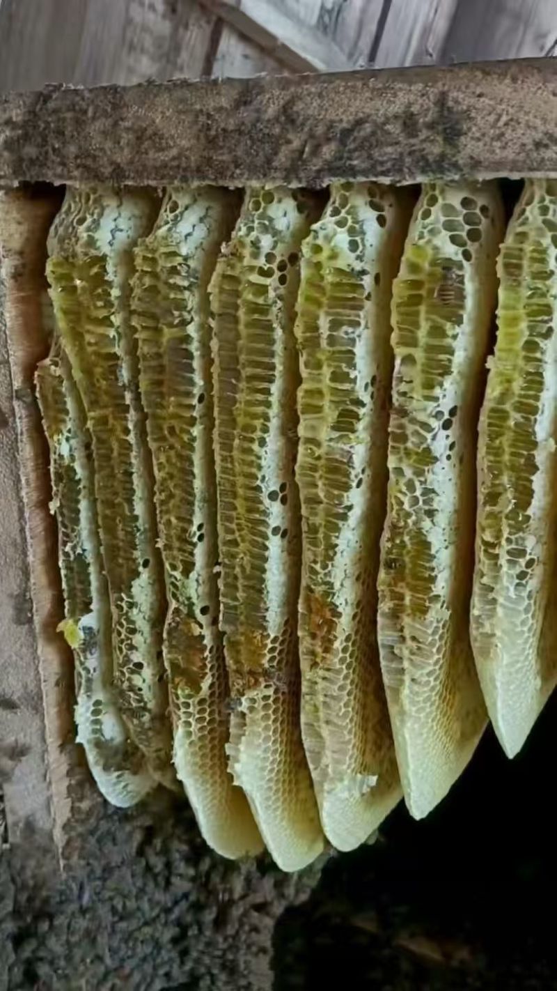 蜂蜜