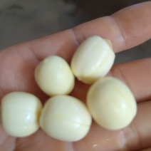 莲子按个头大小分级定价