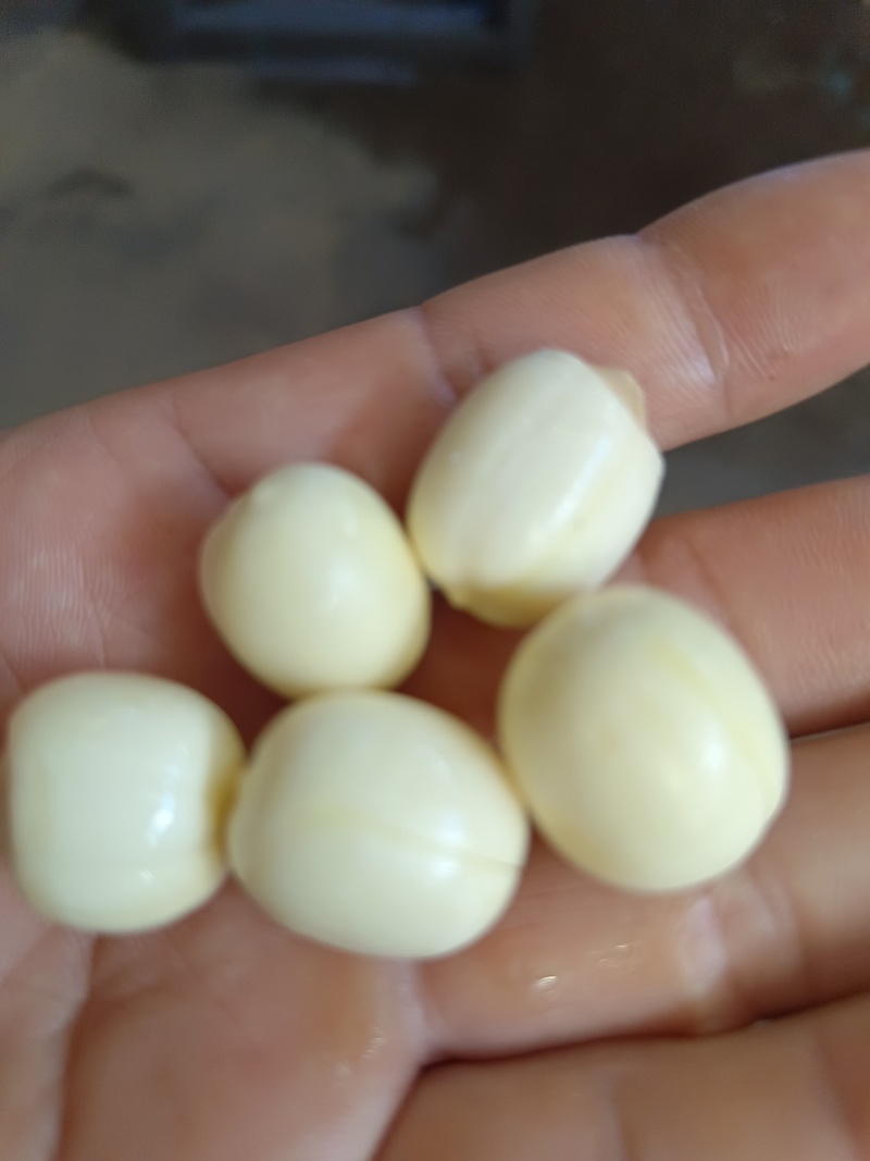 莲子按个头大小分级定价