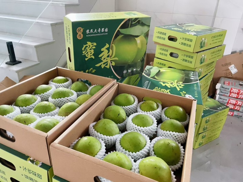 翠冠梨大果