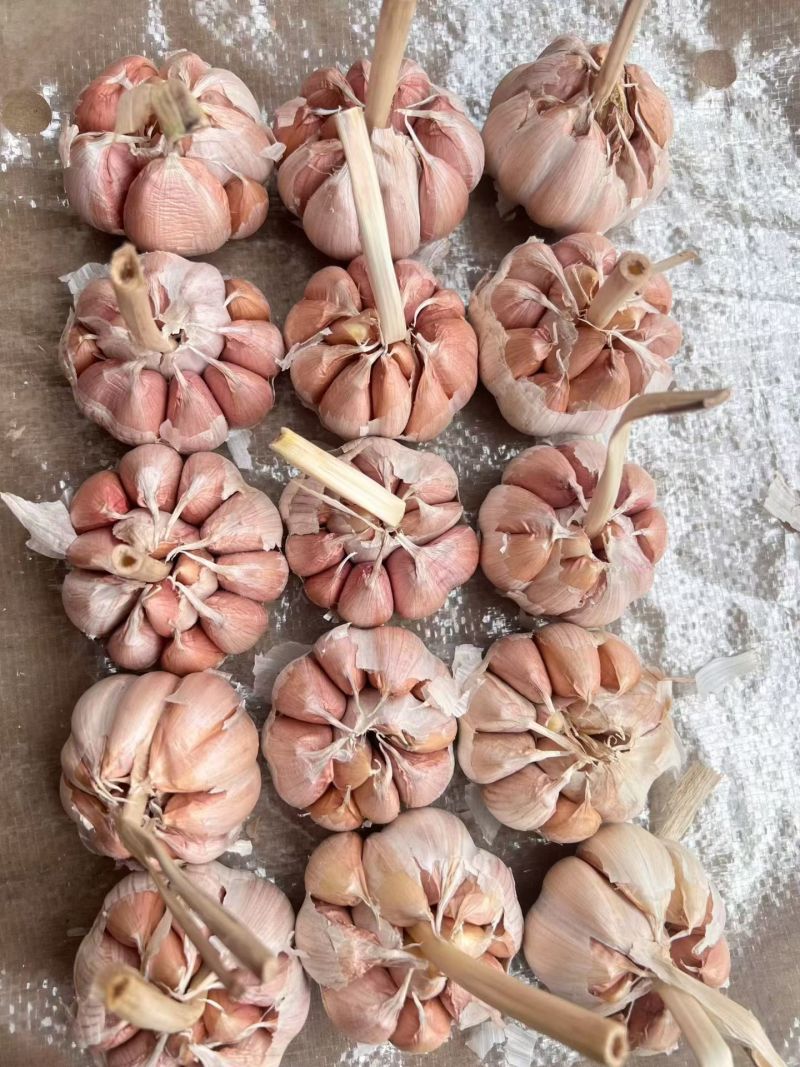 大蒜