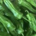 鲜辣椒苏椒（芜湖椒），薄皮·浅绿色泡椒