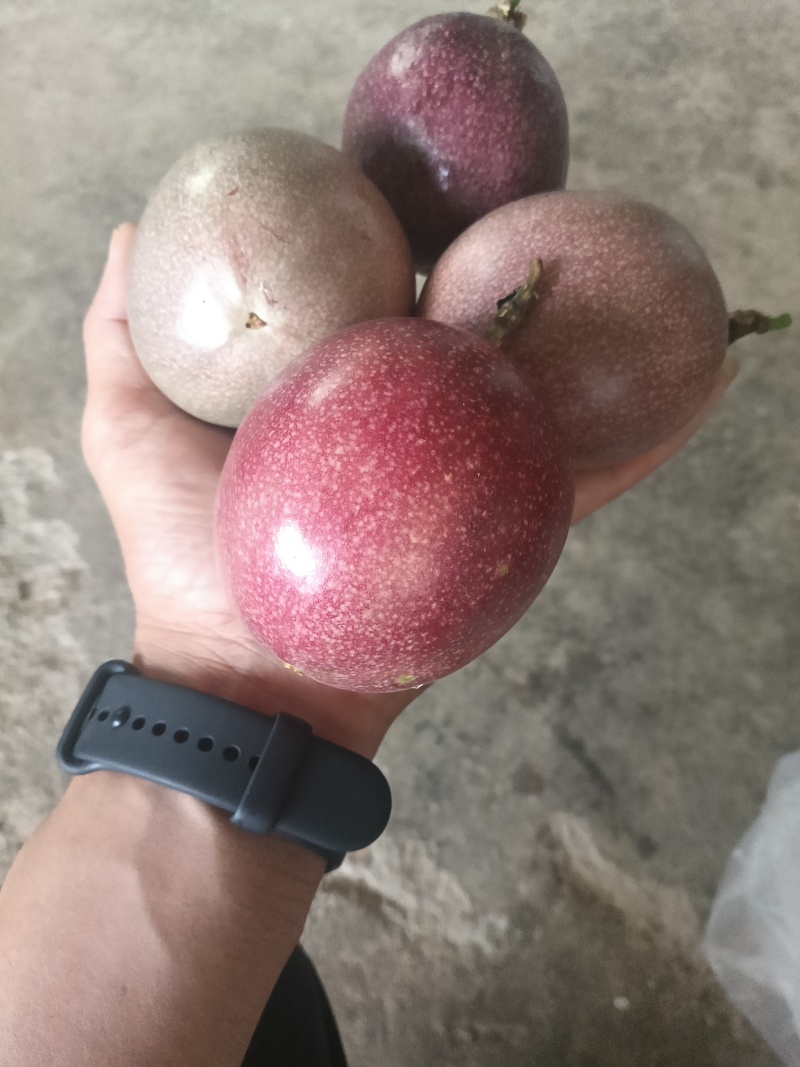 百香果