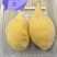 榴莲金枕榴莲，含冻肉和鲜果两种，分A/B/C级