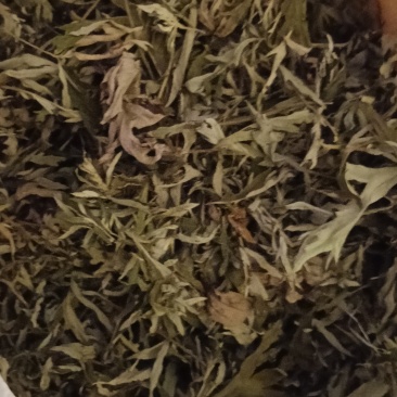 艾叶纯野生干艾叶