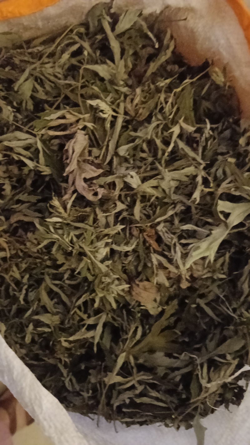 艾叶纯野生干艾叶