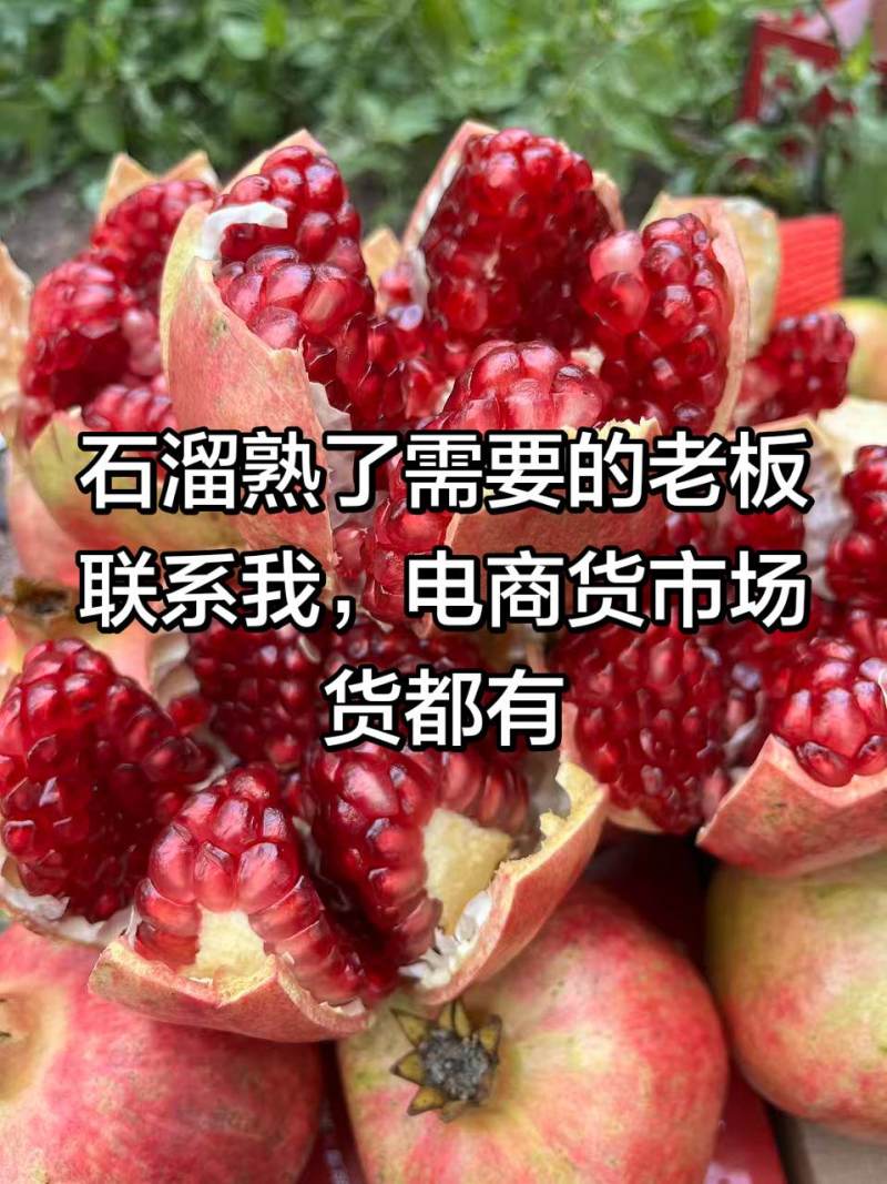 突尼斯软籽石榴价格适合欢迎老板进店选购可视频看货