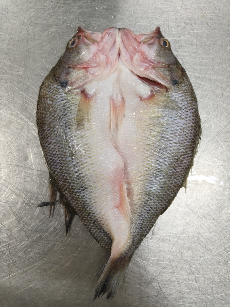 鲈鱼250-300g