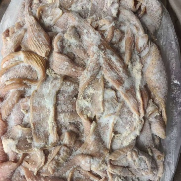 牛大肠7成熟，编织袋装，一件40斤，正常含水量，不加水