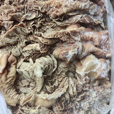 牛伞袋7成熟，编织袋装，一件40斤，正常含水量，不加水