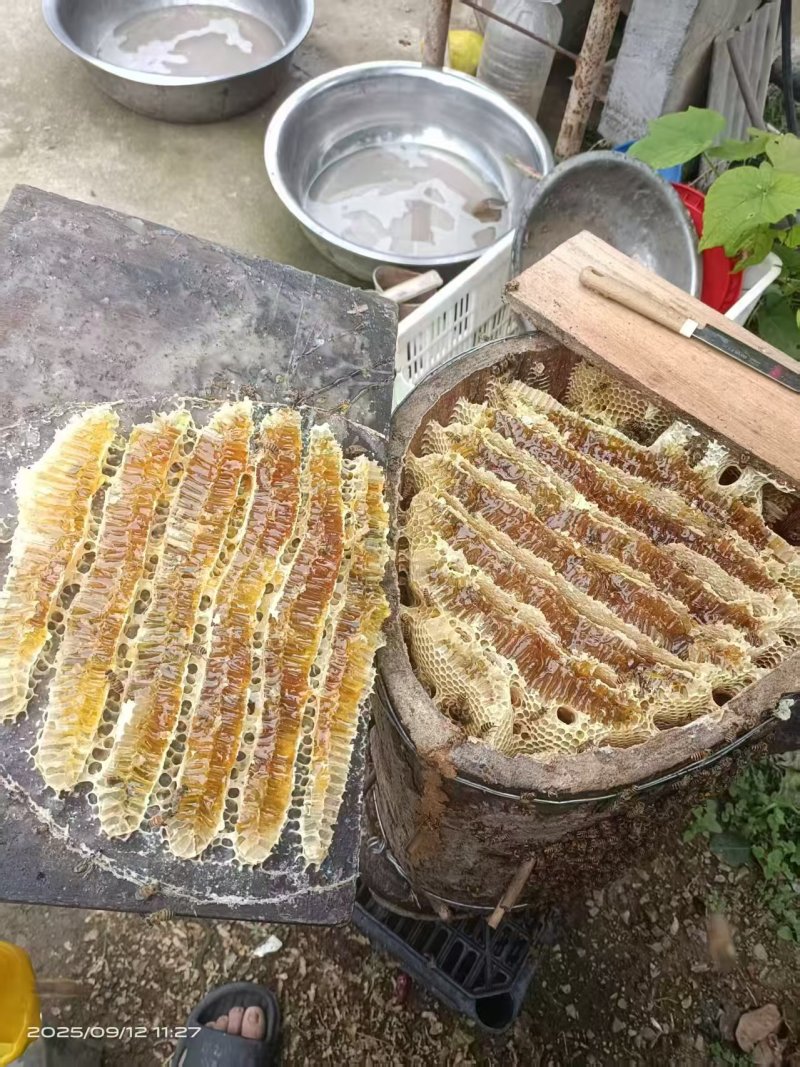 蜂蜜百花蜜