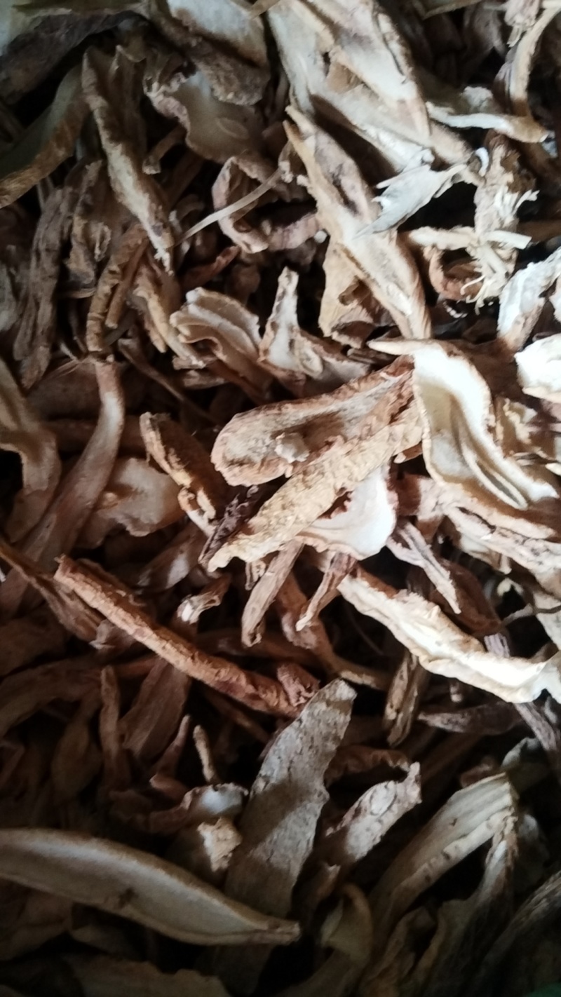 百部干货