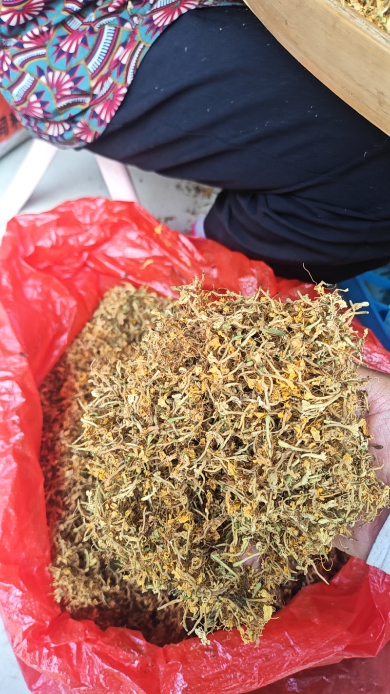 金银花一叶迷/黄金花统货;青色花籽和开花统货20~26