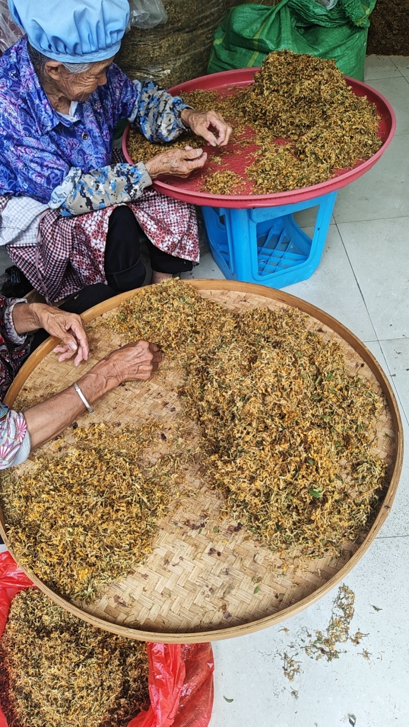金银花一叶迷/黄金花统货;青色花籽和开花统货20~26
