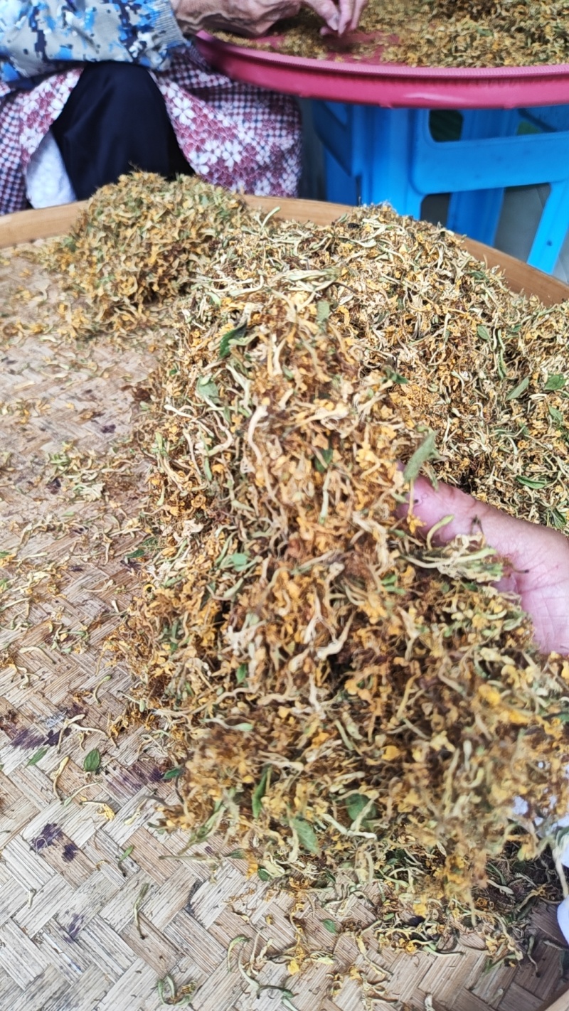 金银花一叶迷/黄金花统货;青色花籽和开花统货20~26