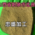 松针粉
