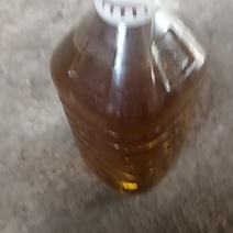 山茶油