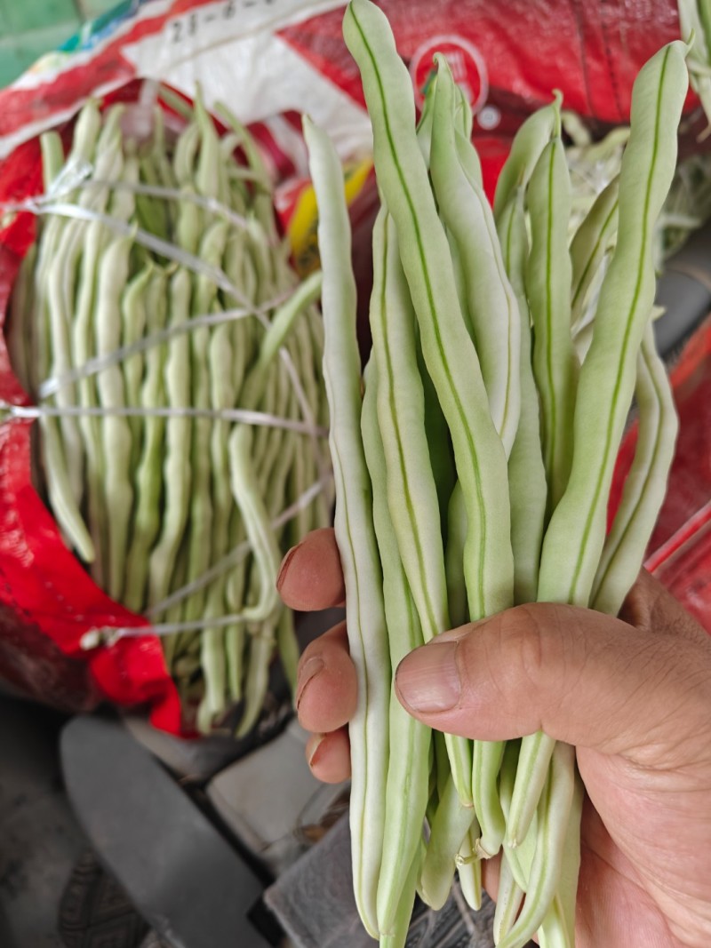 架豆王豆角