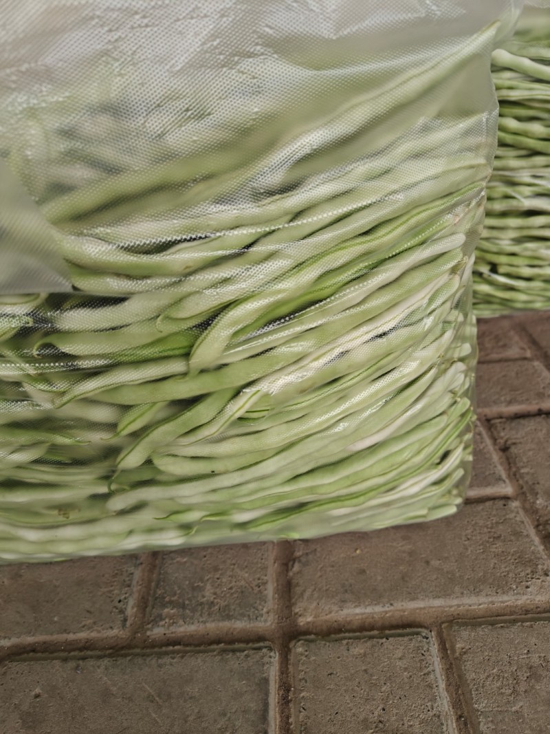 架豆王豆角