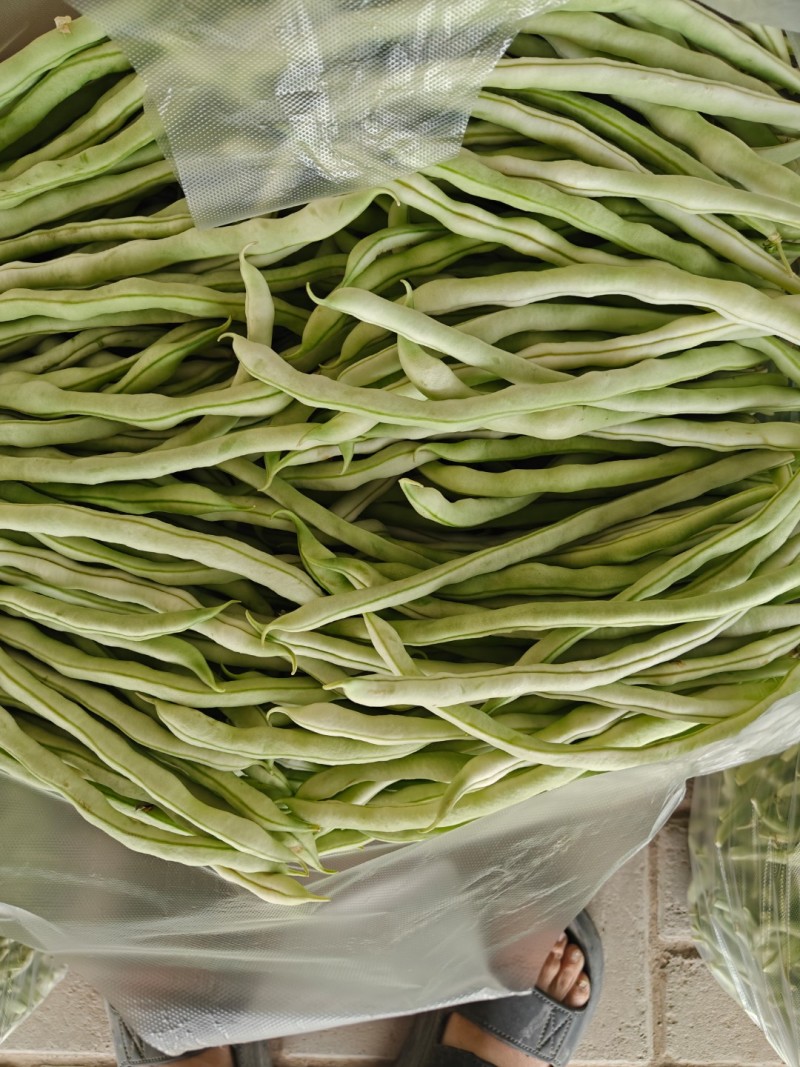 架豆王豆角