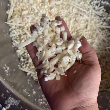 竹笋去壳笋尖